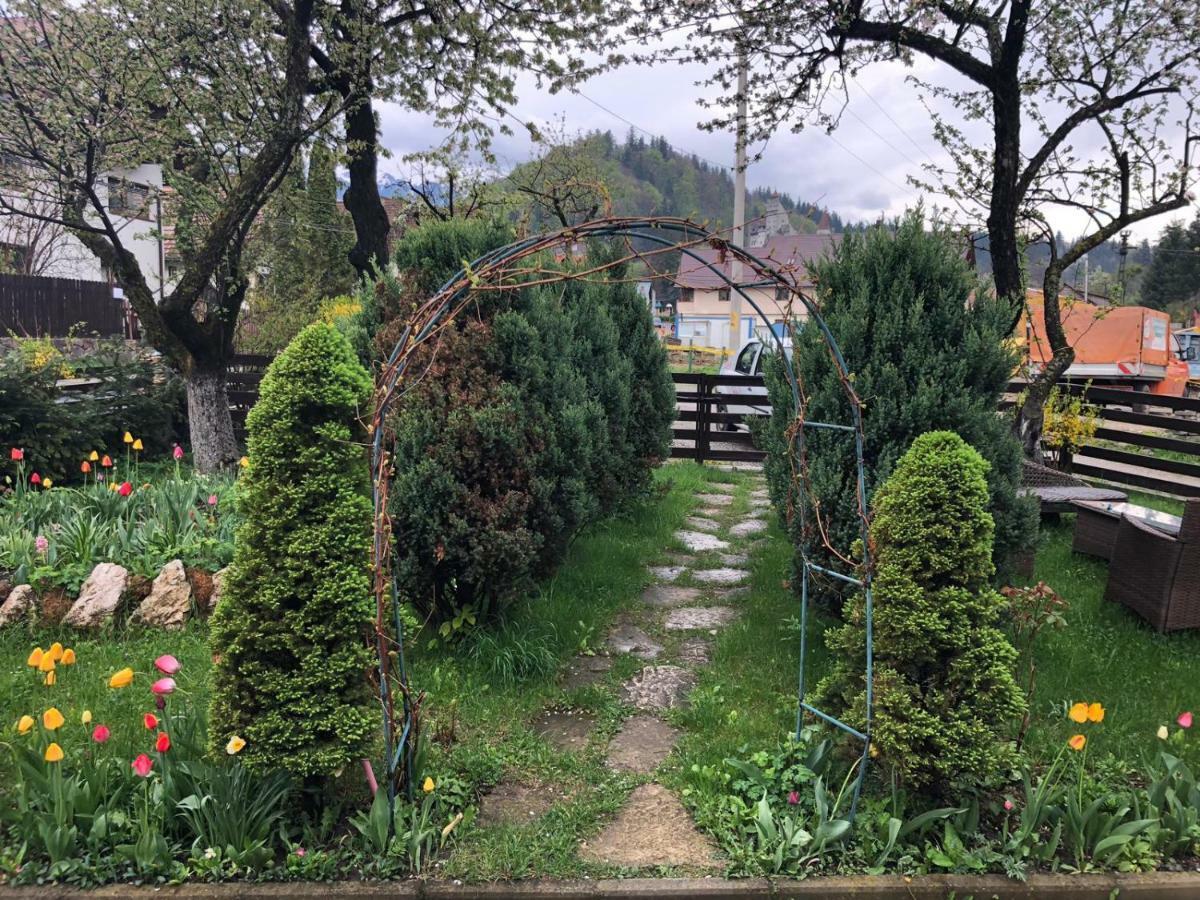 Casa Maria Βίλα Μπραν Εξωτερικό φωτογραφία