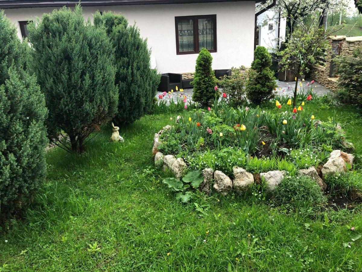 Casa Maria Βίλα Μπραν Εξωτερικό φωτογραφία